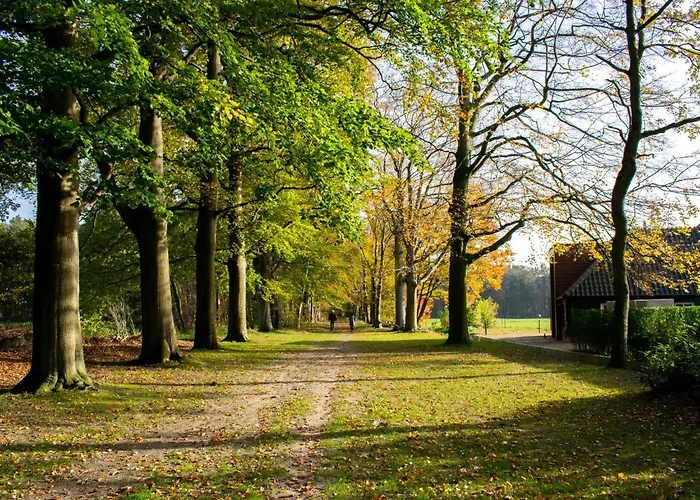 De Vos Hébergement de vacances Ulvenhout